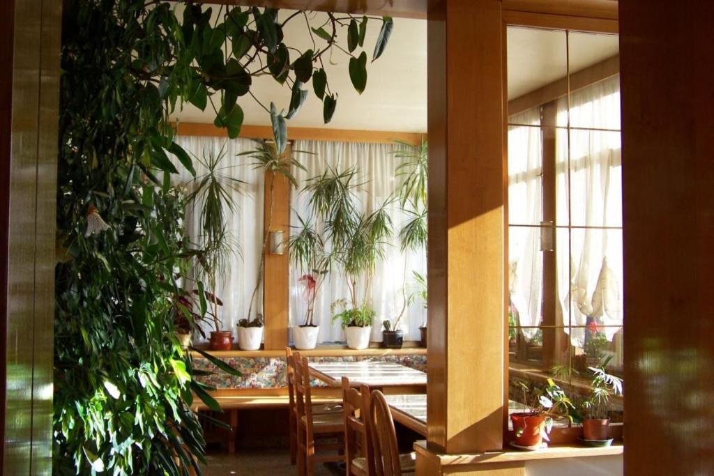Hotel Brustolon Dont Ngoại thất bức ảnh